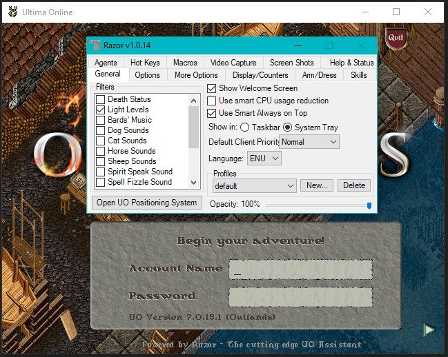 Ultima Online Outlands — Essential Beginner's Guide