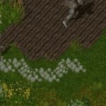 UO Outlands — Archer Bard Build Guide