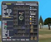 Manage Your Inventory Weight Carefully